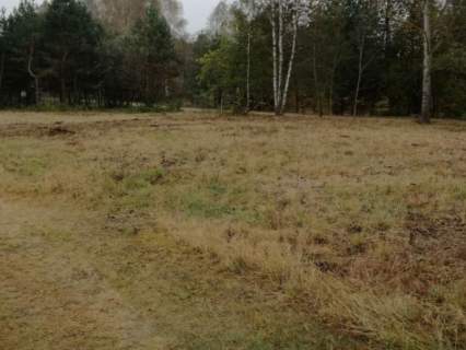 3.45 ha działka rolna Czechy Orlańskie