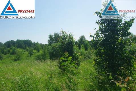 2 ostatnie działki budowlane - Kolonia Mokiny