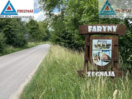 FARYNY - SIEDLISKO WE WSI ANIOŁÓW - DUŻA DZIAŁKA