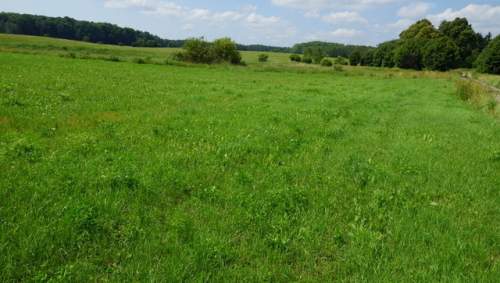Działka 34.4977ha,m.Bobolice,las,oczko wodne,dr .