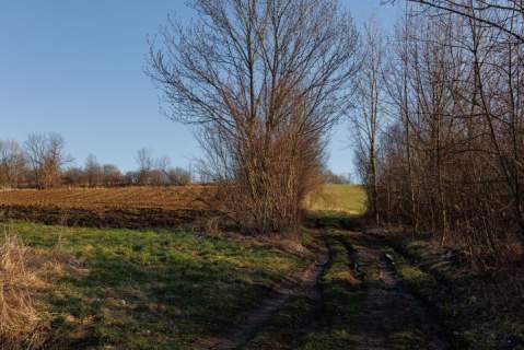 Działka Bielsko-Biała, ul. Francuska ok.1ha
