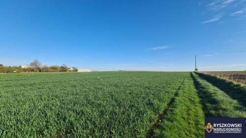Sitaniec, Zamość, działka 1400m2 14ar