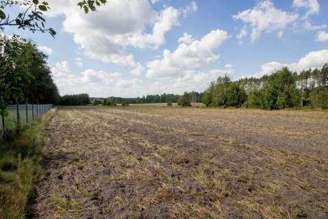 Działka 8a blisko lasu w miejscowości Kamińsko