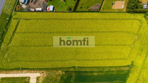 Działki budowlane 0,87ha, Gniewomierz przy Legnicy
