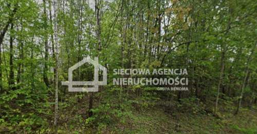 Działka rolna 13.504 m2, Kobylasz / Linia