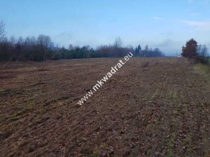 Działka z Warunkami Zabudowy 21800m Media Okazja