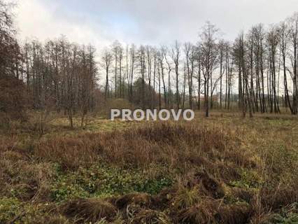 działka nad jeziorem Dominikowo