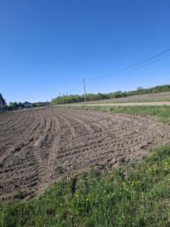1000 m2 działka budowlana m. Skrybicze