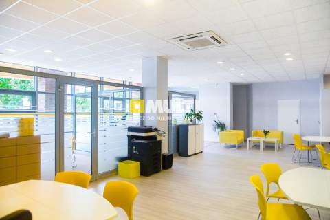Na wynajem lokal biurowy w centrum Szczecina