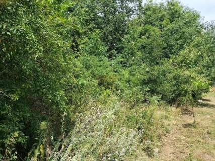 Dz. budowlana, 147 ar, uzbrojona w drodze , las