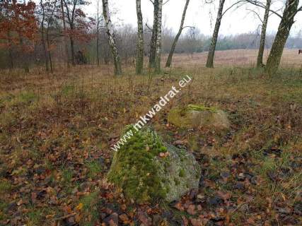 Działka z Warunkami Zabudowy 21800m Media Okazja