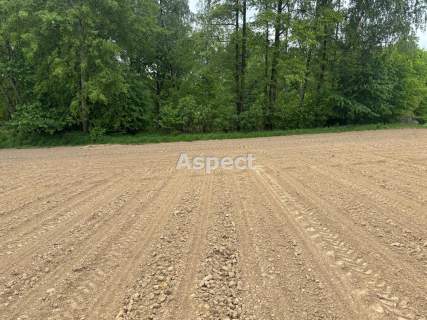 Działki budowlane Studzionka