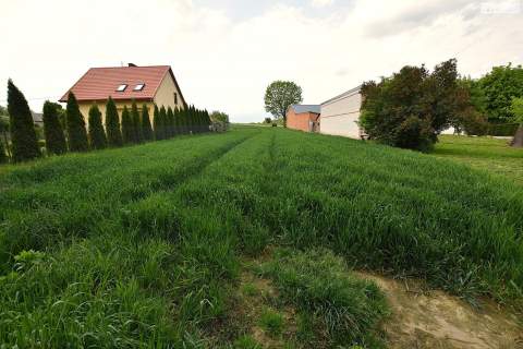 Działka rolno budowlana w Słotwinach, 6,5 ha