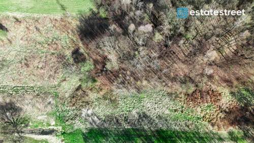 Działka 2,25 ha Wiśnicz/Siepraw - piękny las 