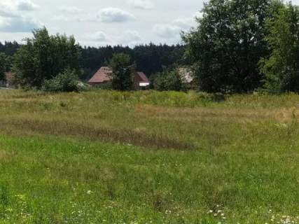 3.000 m2, siedliskowa, woda i prąd