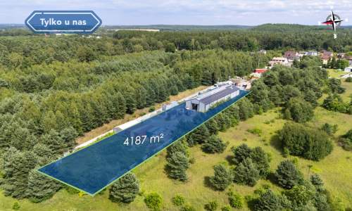 Hala na sprzedaż Wręczyca Mała