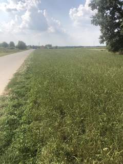Działka budowlano-inwestycyjna