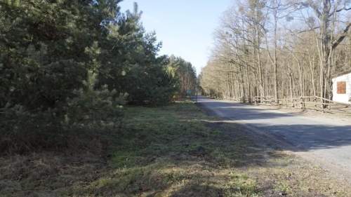 Działki budowlane pośród lasów.