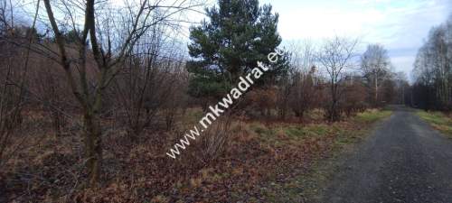 Działka Budowlana 4851 m Budy Grzybek