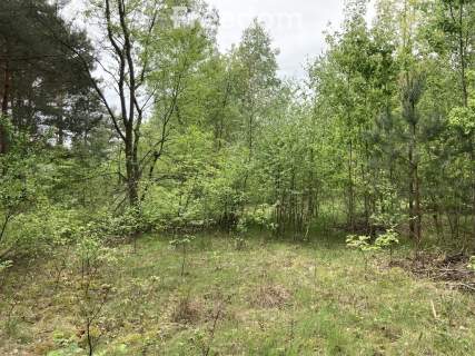 Działka budowlana 1000 m   Wężówka