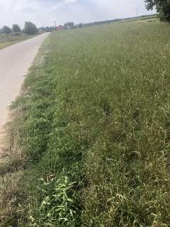 Działka budowlano-inwestycyjna
