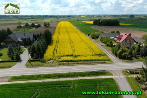 Działki budowlane w Sitnie