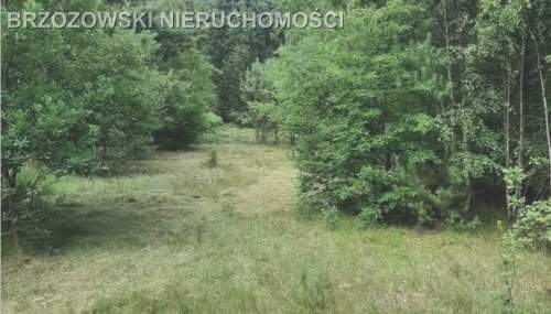 Truskaw, Izabelin, 1455 m2, MPZP mieszkaniowa