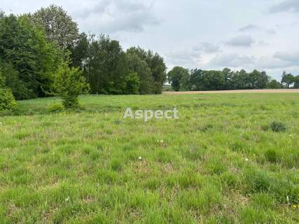 Działki budowlane Studzionka
