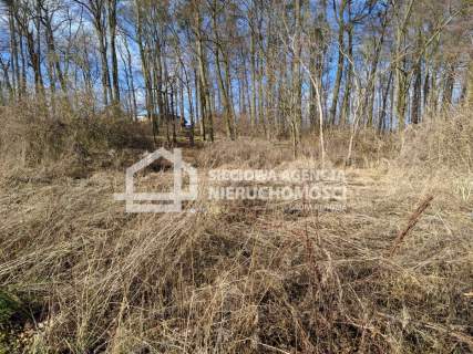 Atrakcyjna działka 3205m2, Lublwo Gdańskie