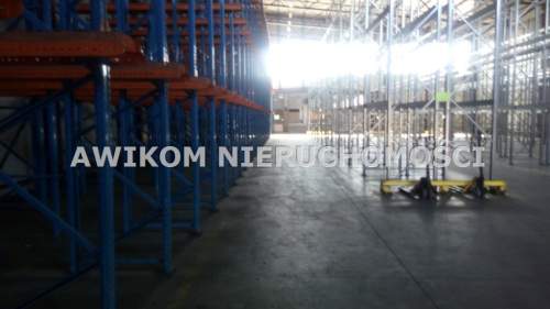 Magazyn do wynajęcia, 1200 m2, Skierniewice
