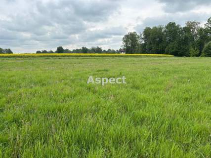 Działki budowlane Studzionka