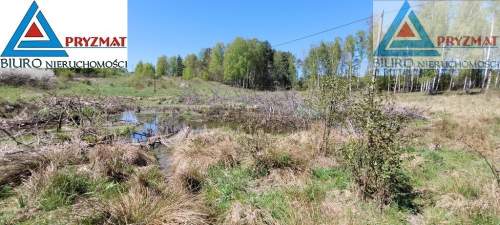 Ostatnie działki - Kolonia Mokiny 25zł/m.kw