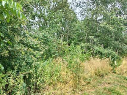 Dz. budowlana, 147 ar, uzbrojona w drodze , las