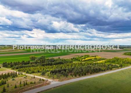 Działka budowlana na sprzedaż, 800 m2, Warta