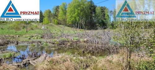 Ostatnie działki - Kolonia Mokiny 25zł/m.kw