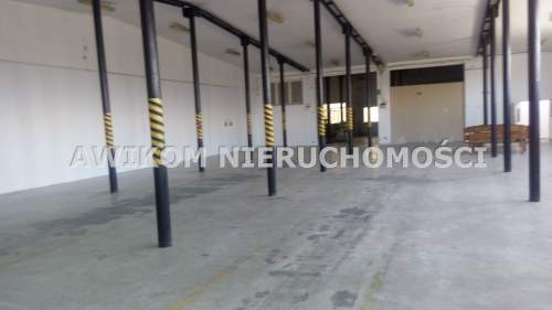 Magazyn do wynajęcia, 1300 m2, Skierniewice
