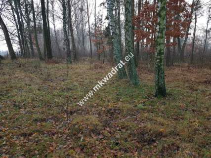 Działka z Warunkami Zabudowy 21800m Media Okazja