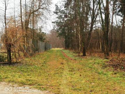 Działka pod zabudowę 2000 m2- Mingosy 