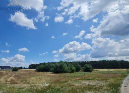 Działka 3053m2 - Głogusz gm. Sulechów