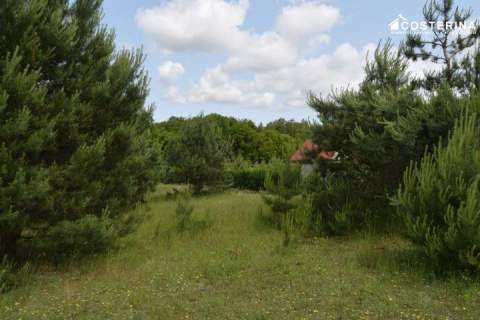 Działka rekreacyjna 3013 m2 w Nowych Polaszkach, blisko jeziora...