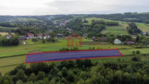 Działka budowlana z widokiem na iglasty las