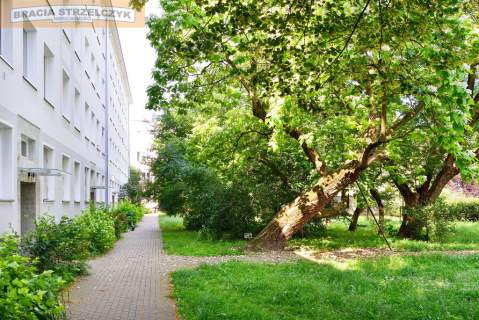 Parter. Duży balkon. Narożne. Przy Łazienkach