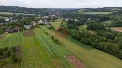 Działka budowlana z widokiem na iglasty las