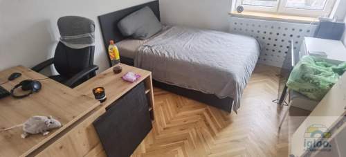 Mieszkanie 3-pok w centrum po remoncie