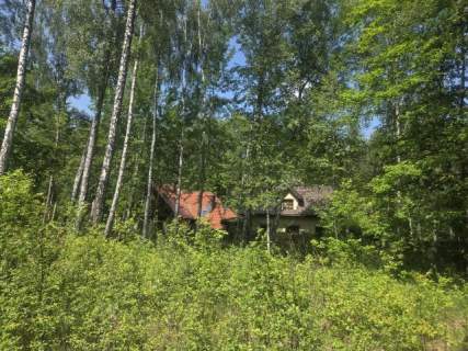 za Sarnią, 3 do wyboru, warunki zabudowy