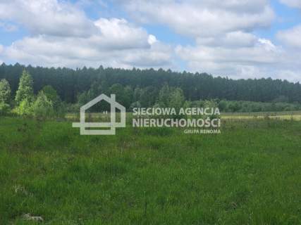 Działka rolna siedliskowa 78.314m2, Miłowo