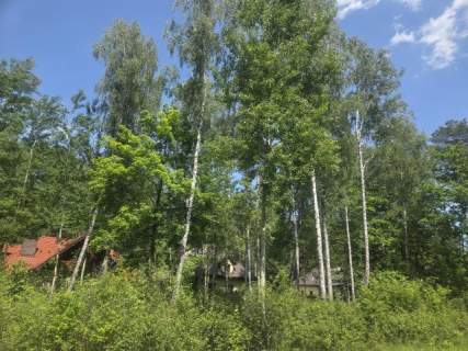 za Sarnią, 3 do wyboru, warunki zabudowy