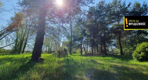 Działka budowlana z domkiem, rzeka, cisza, natura