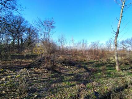 Działka inwestycyjna 1,89 ha w Głogowie