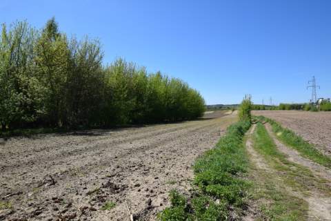 Działka w Muninie przy ul. Długiej 30 arów